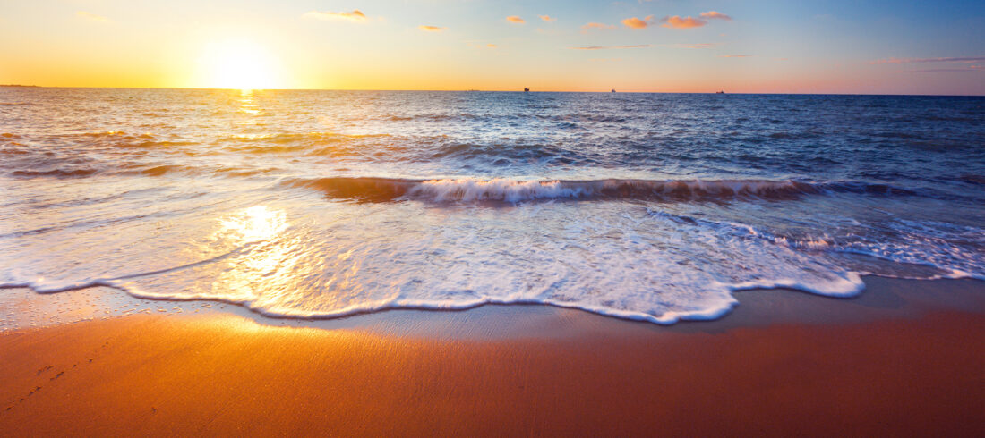 Shutterstock 117062077
