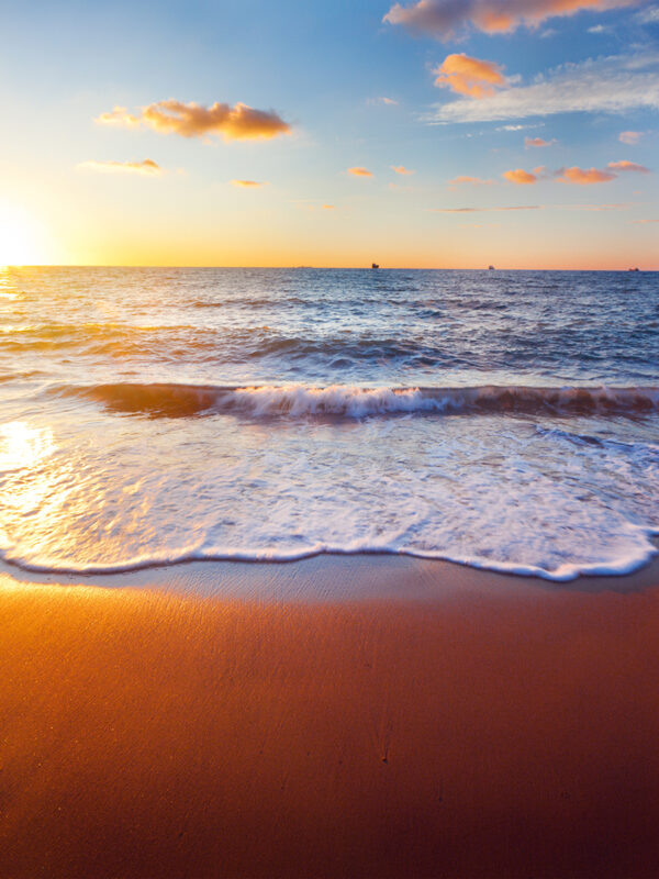Shutterstock 117062077