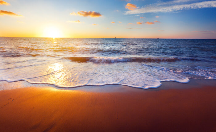 Shutterstock 117062077