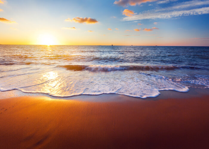 Shutterstock 117062077