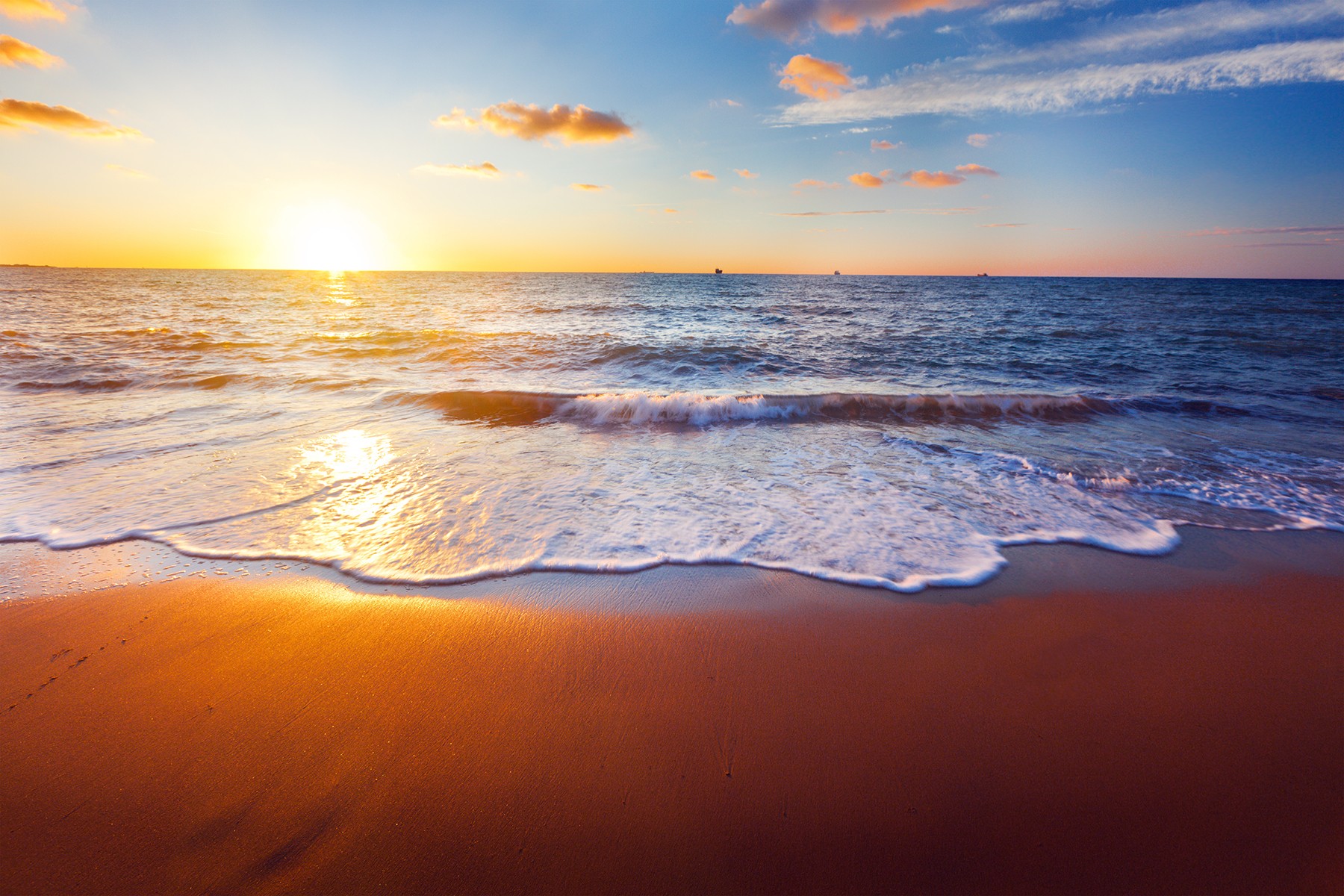 Shutterstock 117062077