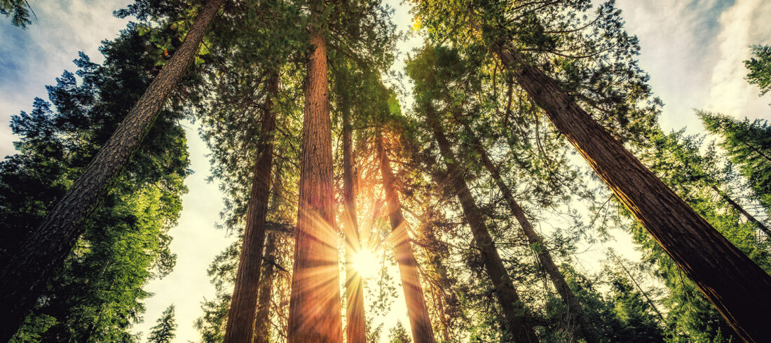 Shutterstock 210601591