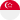 Singapore Flag